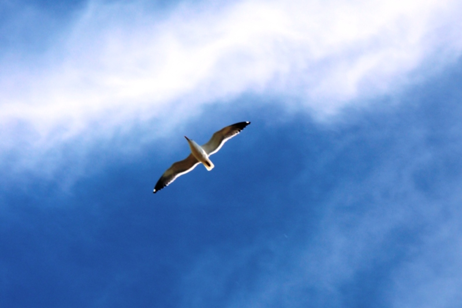 Фото Елены Колоколовой.