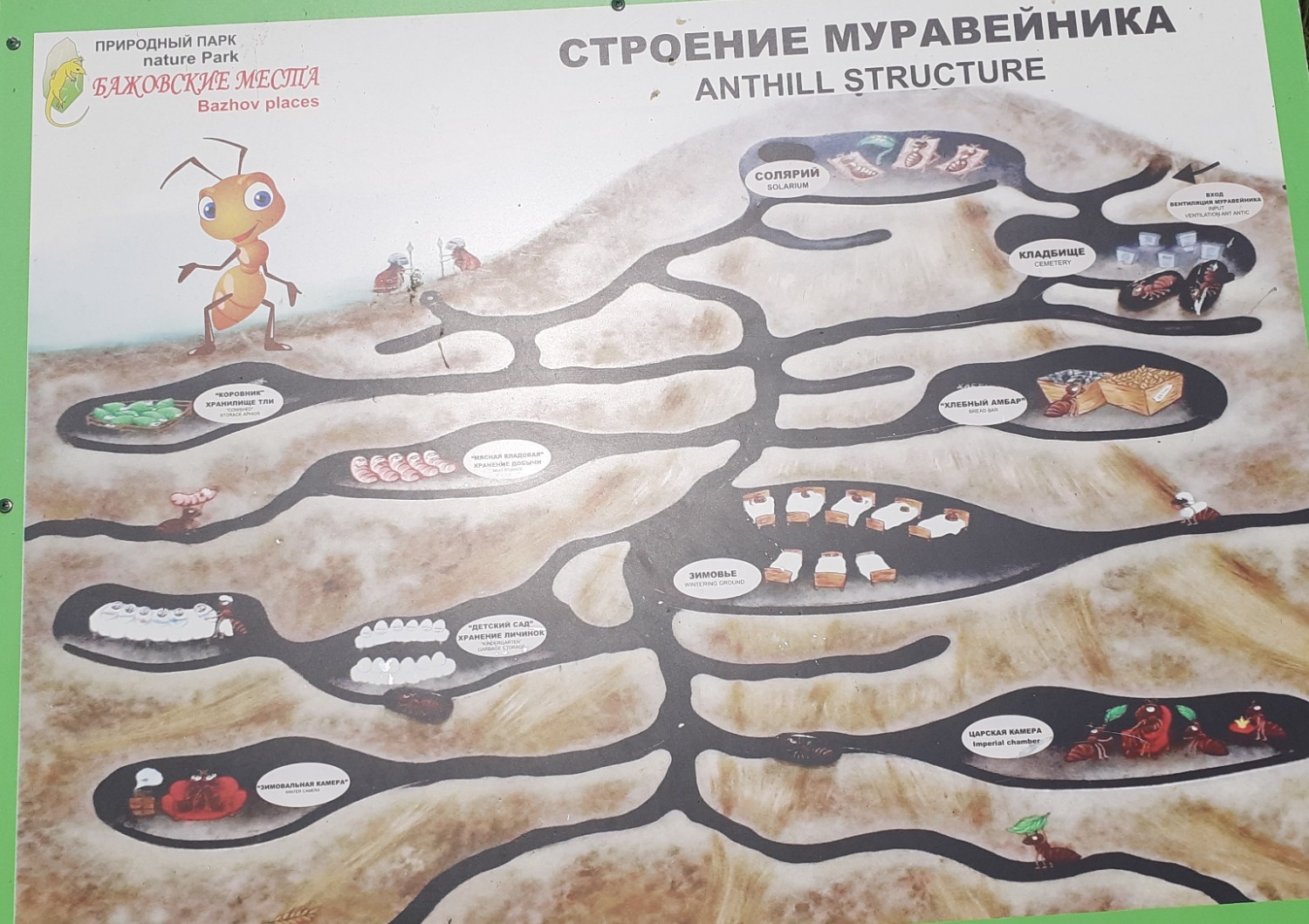 Владимира Шакиева.