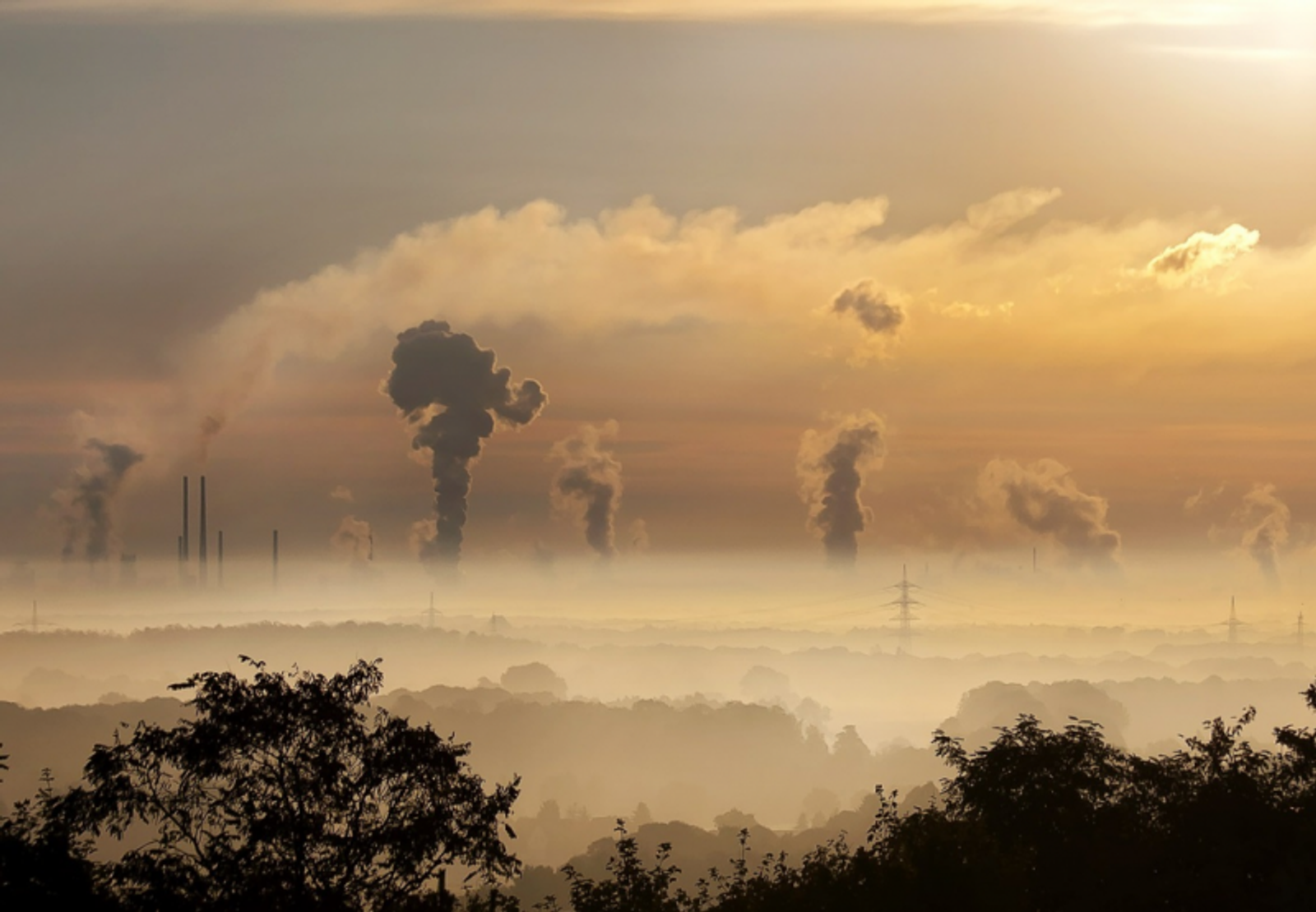 Фото Олега Яровикова.