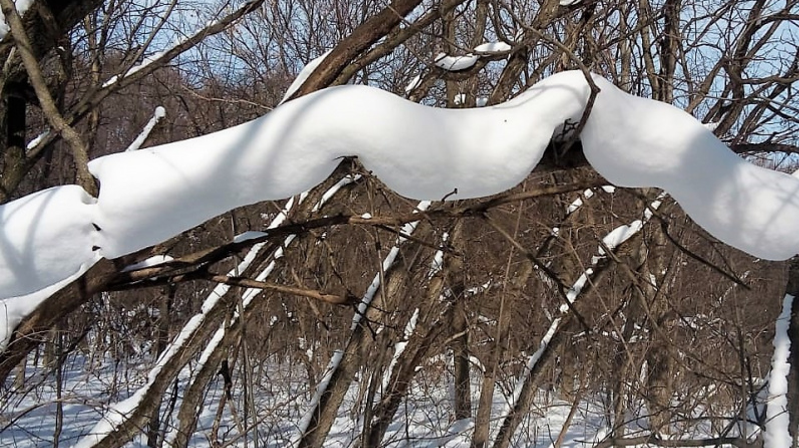 Фото Евгении Сюткиной.