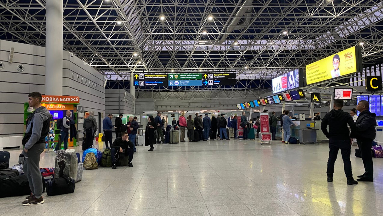 Елены Колоколовой.