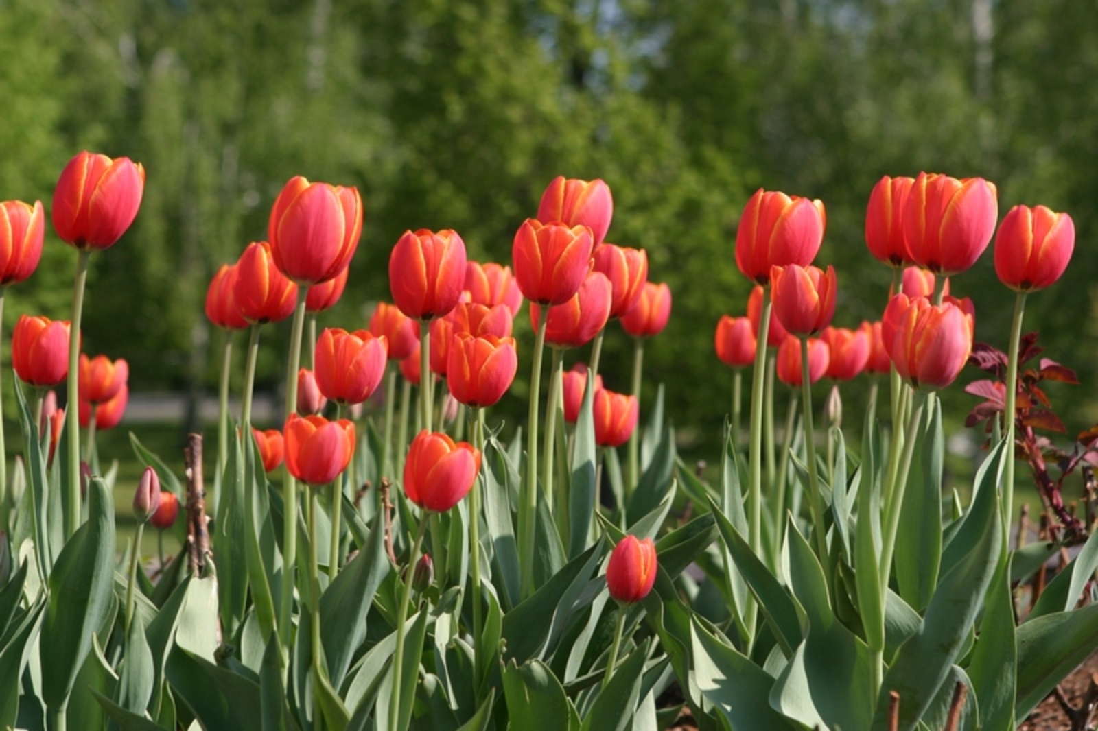 Фото Олега Яровикова.