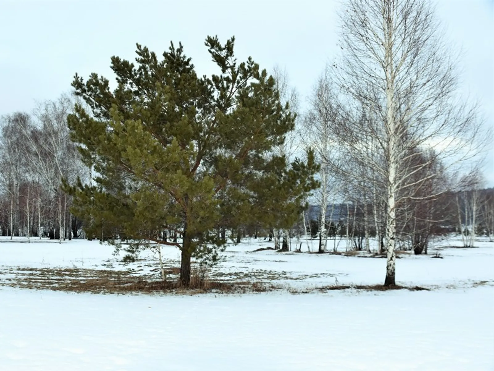Фото Елены Колоколовой.