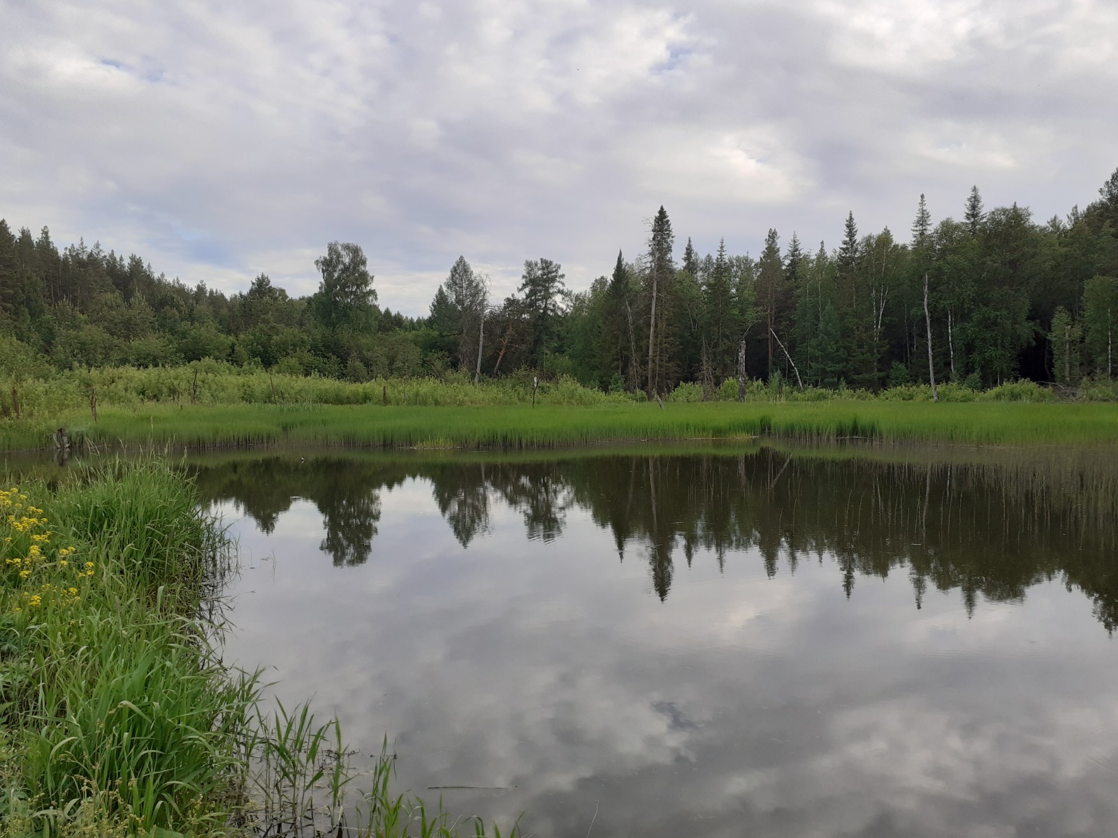 Владимира Шакиева.