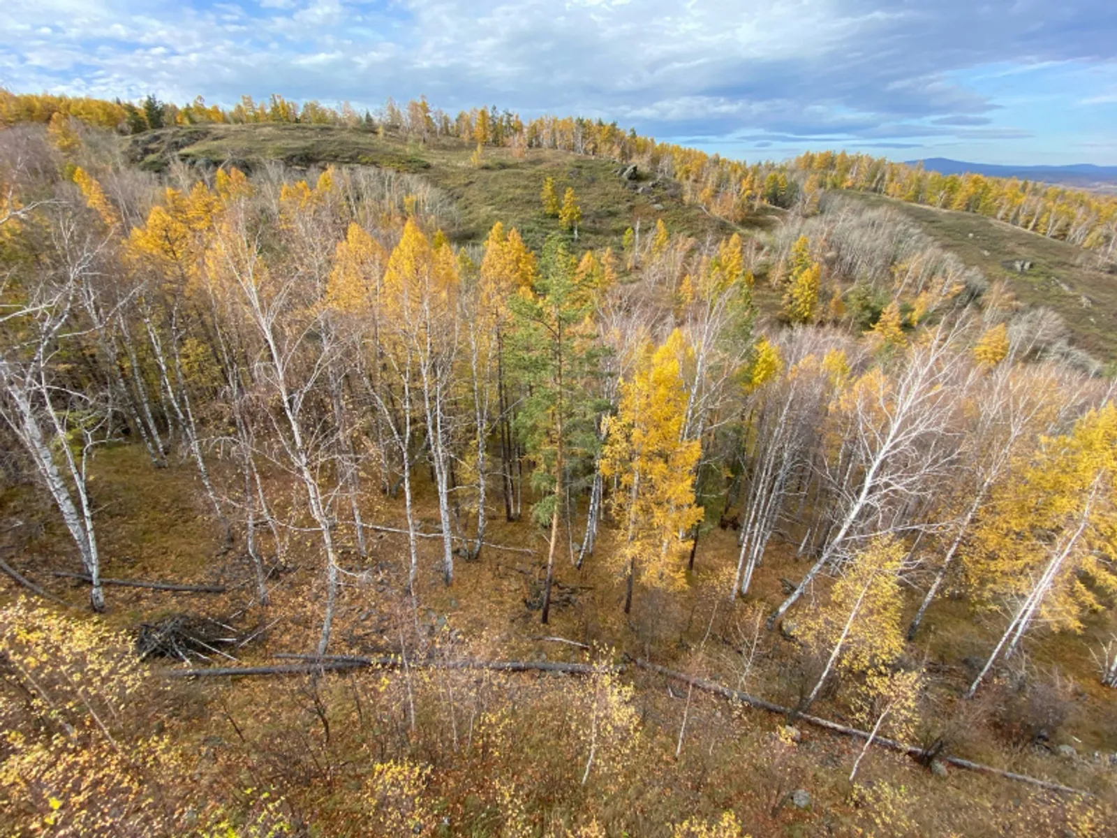 Фото автора.