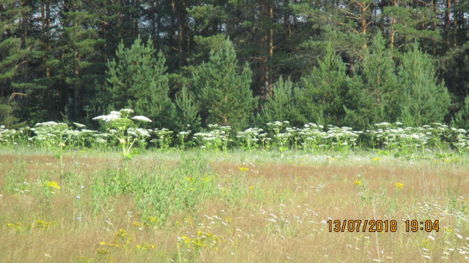 предоставлено Ларисой Абрамовой.