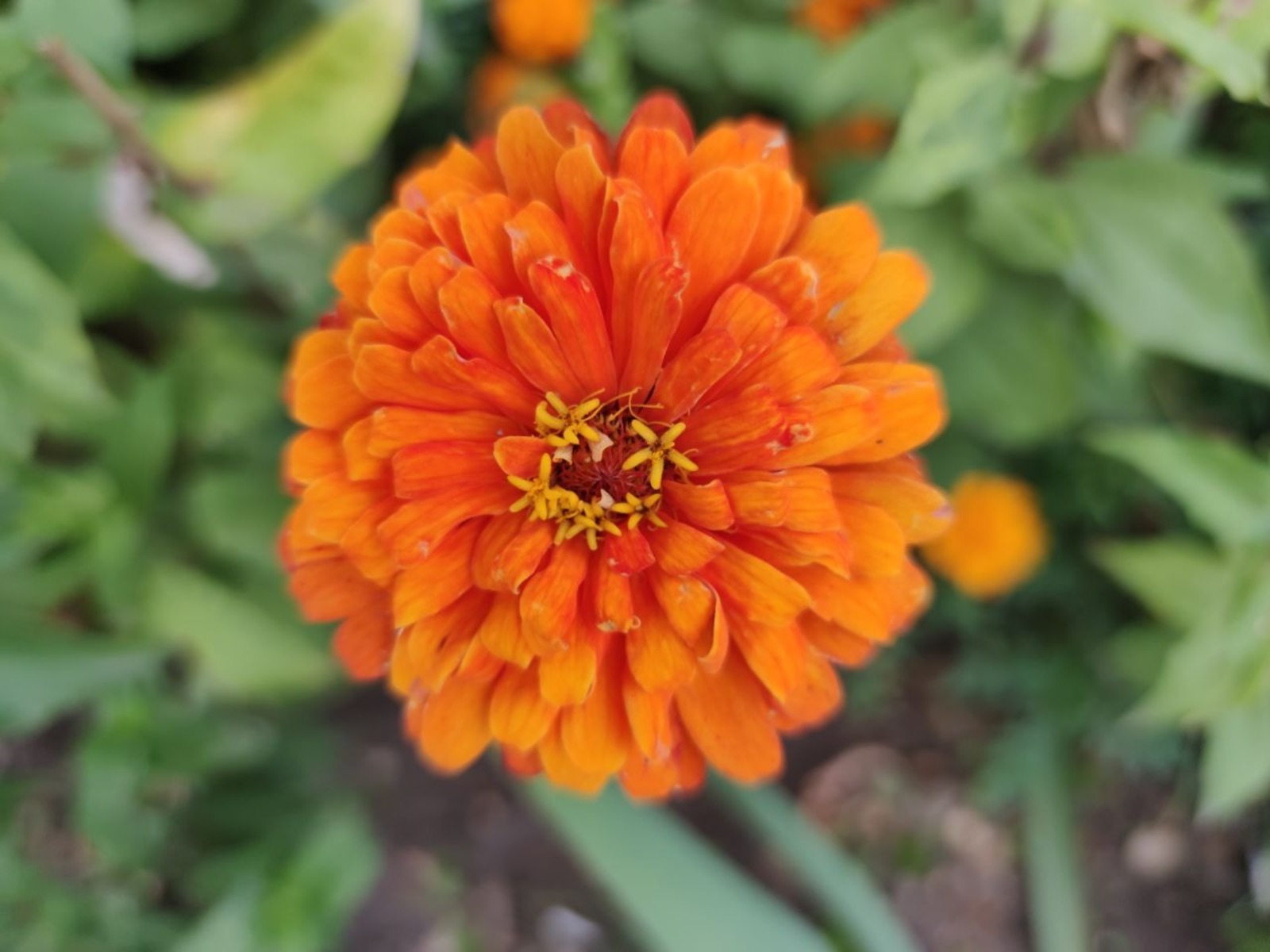 Дарьи Святохиной.