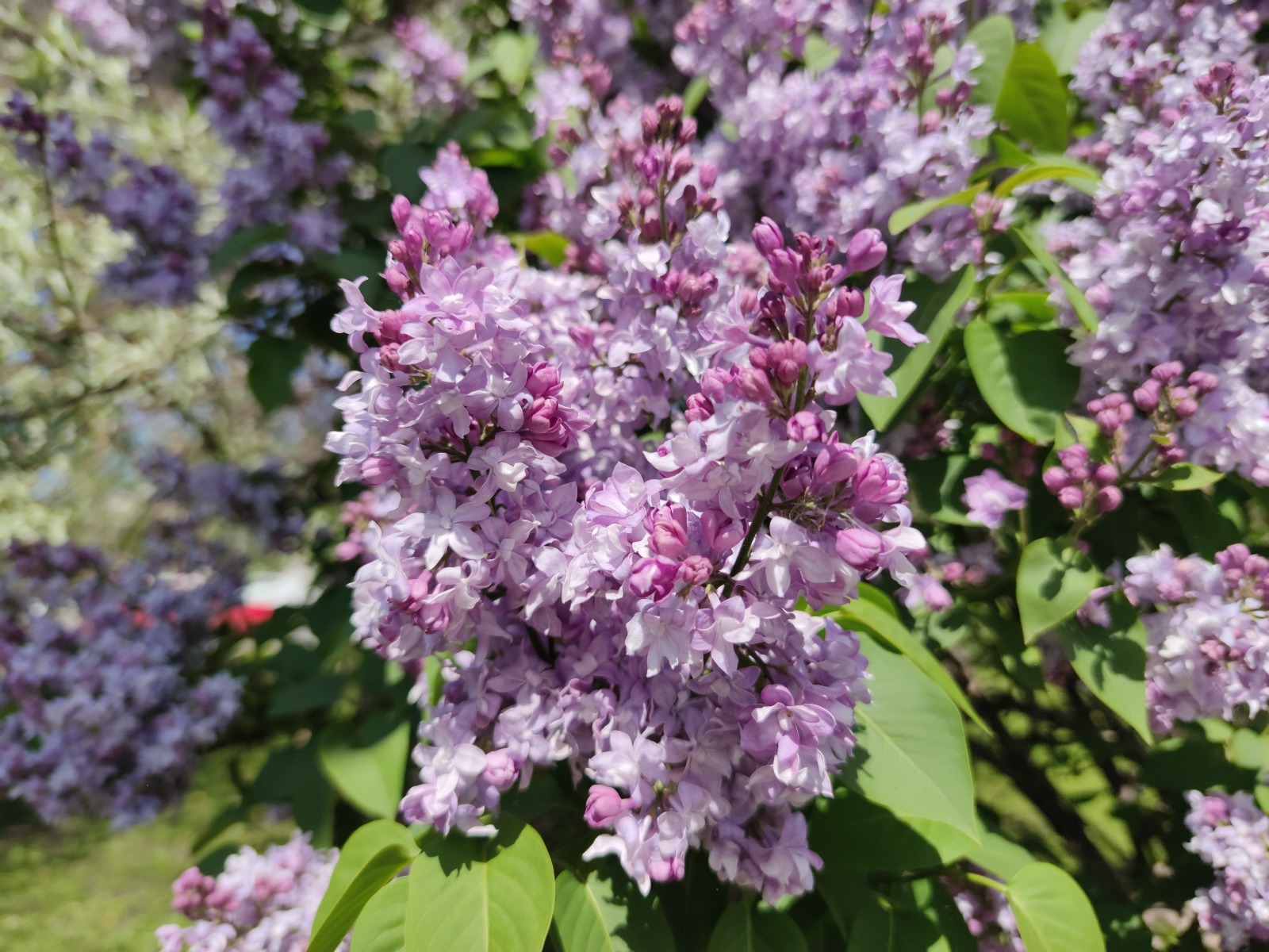 Дарьи Святохиной.