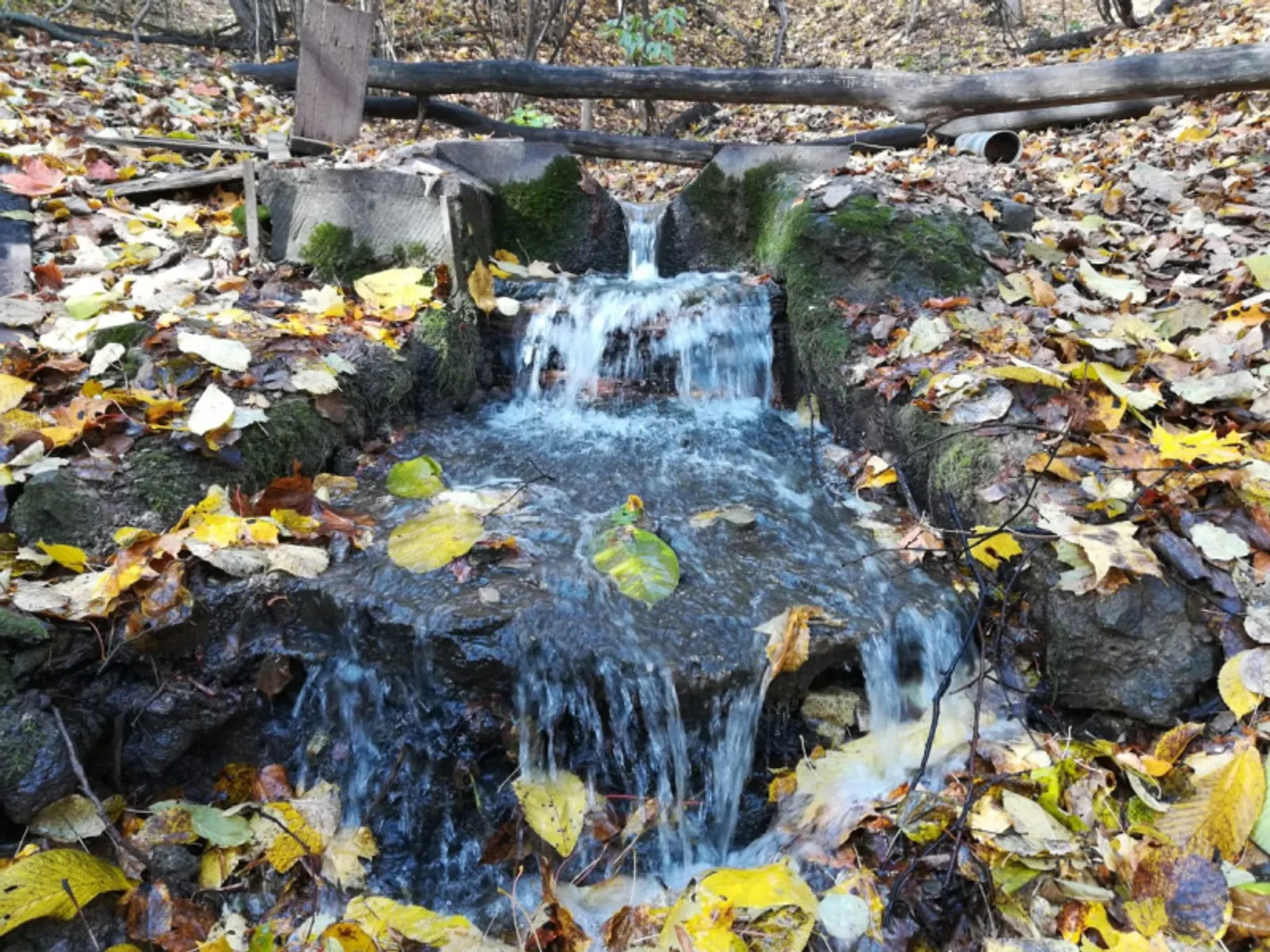 Фото предоставлено жителями микрорайона Глумилино.
