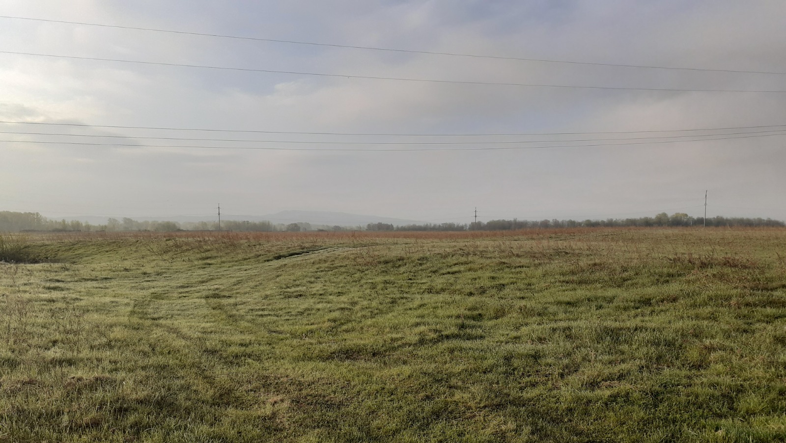 Владимира Шакиева.