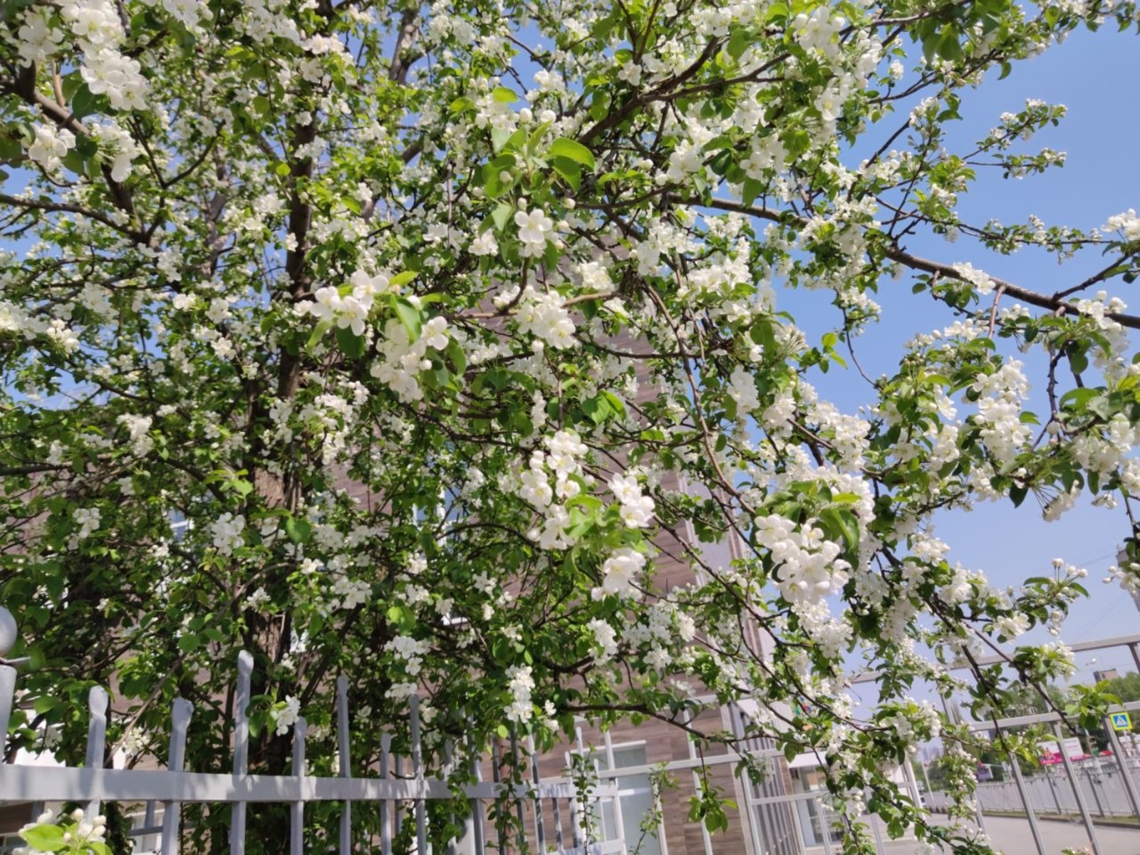 Дарьи Святохиной.