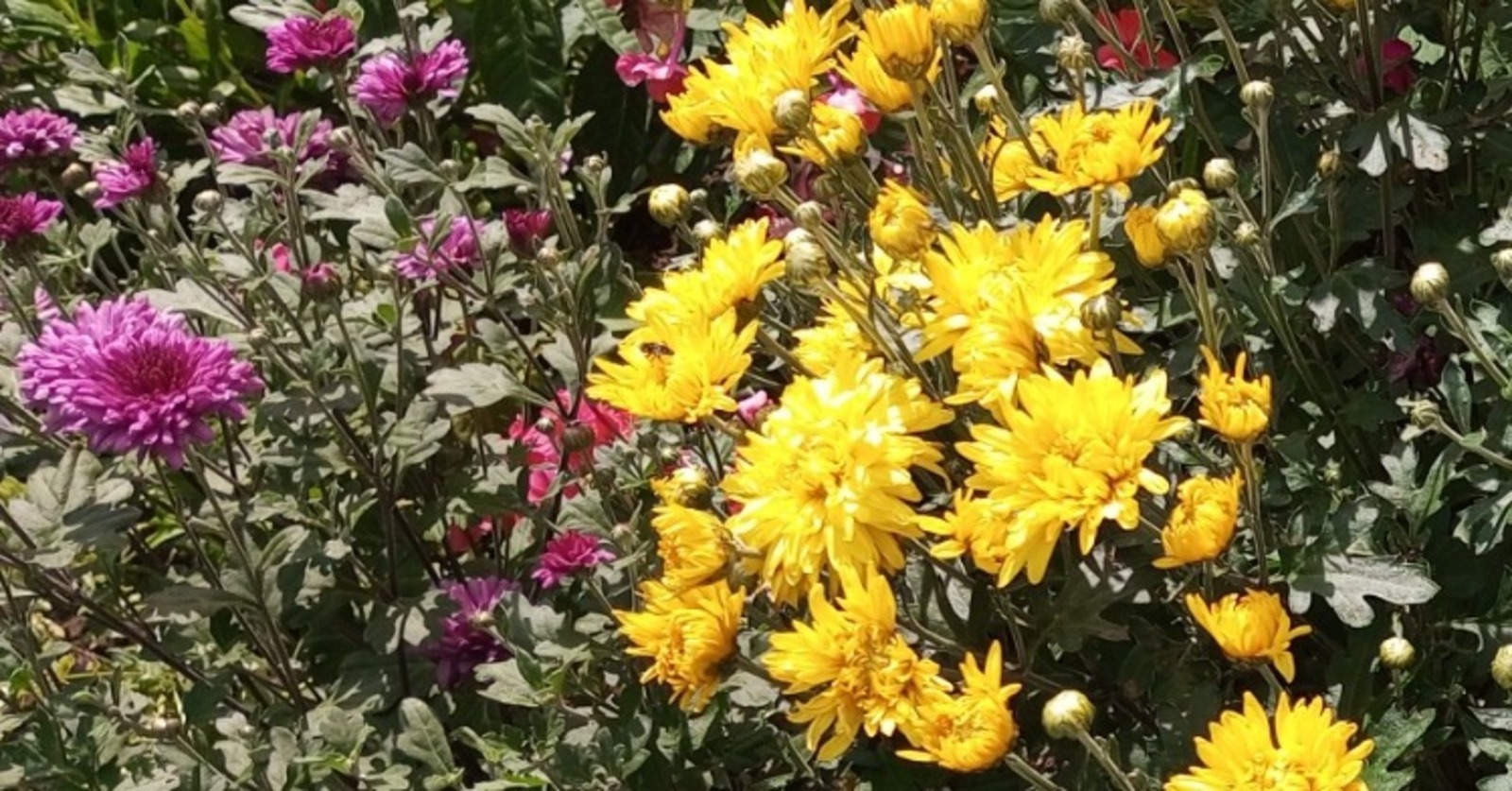 Евгении Сюткиной.