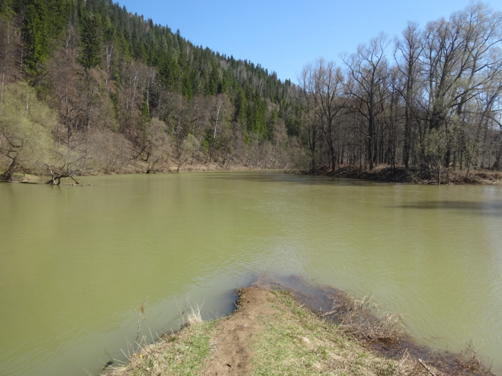 Фото Елены Колоколовой.