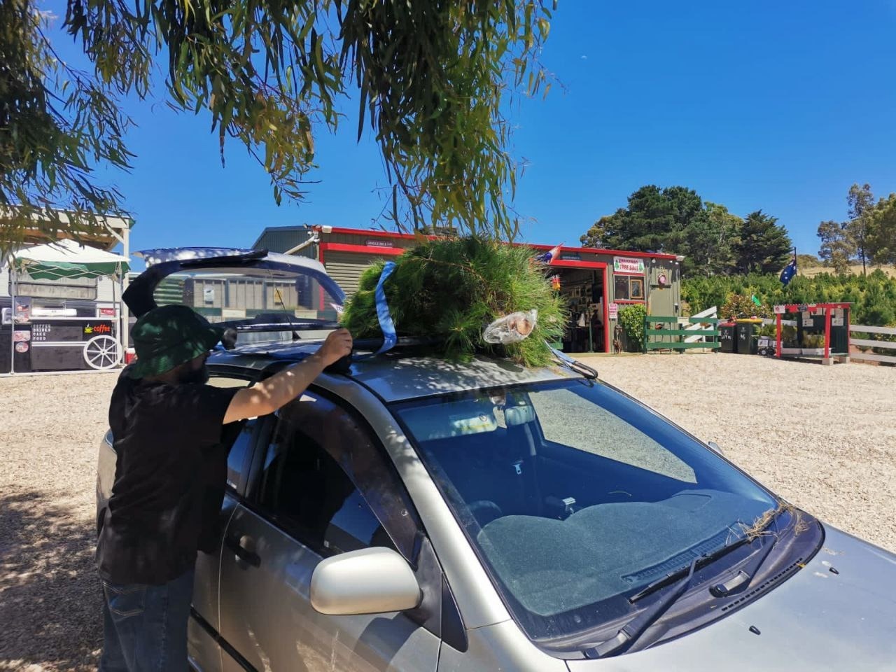 предоставлено Ольгой Калининой. предоставлено Ольгой Калининой.