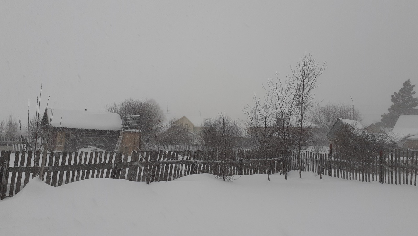 Владимира Шакиева.