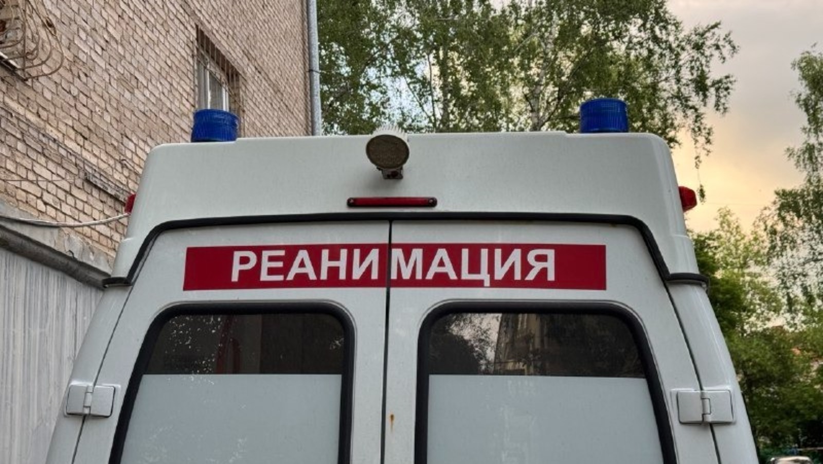 Елены Колоколовой. "Общественная электронная газета".