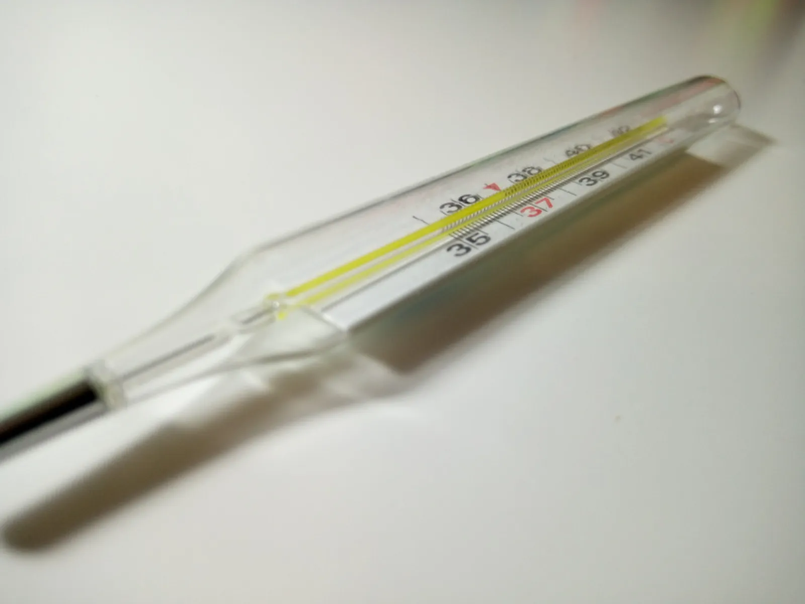 Фото Васили Саитовой.