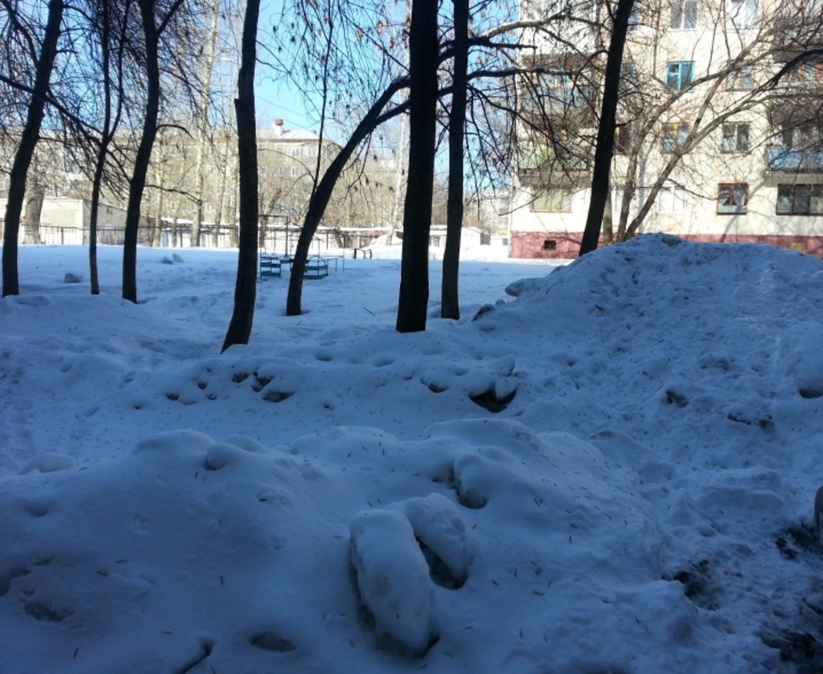 Фото автора.