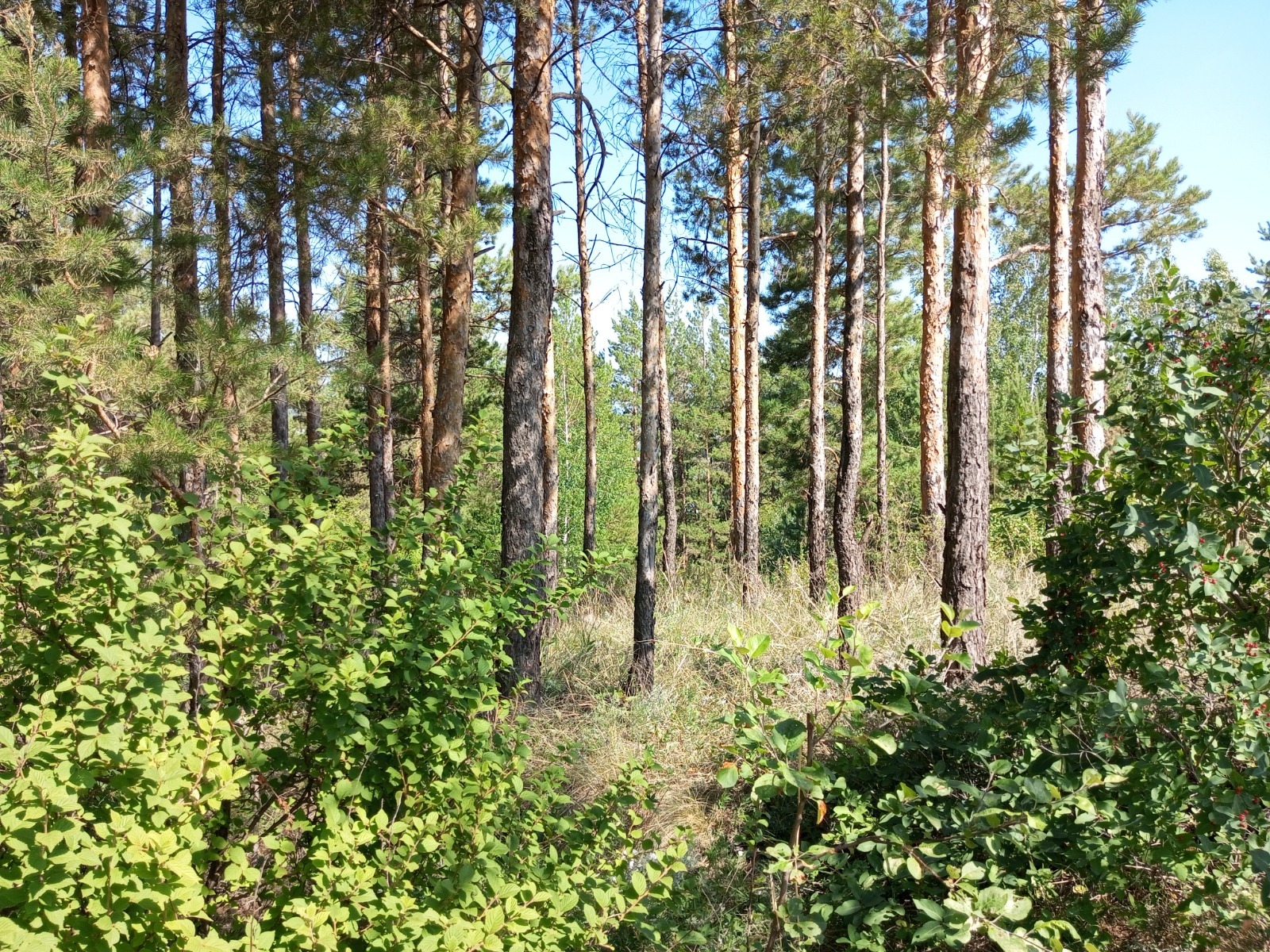 Евгении Сюткиной.