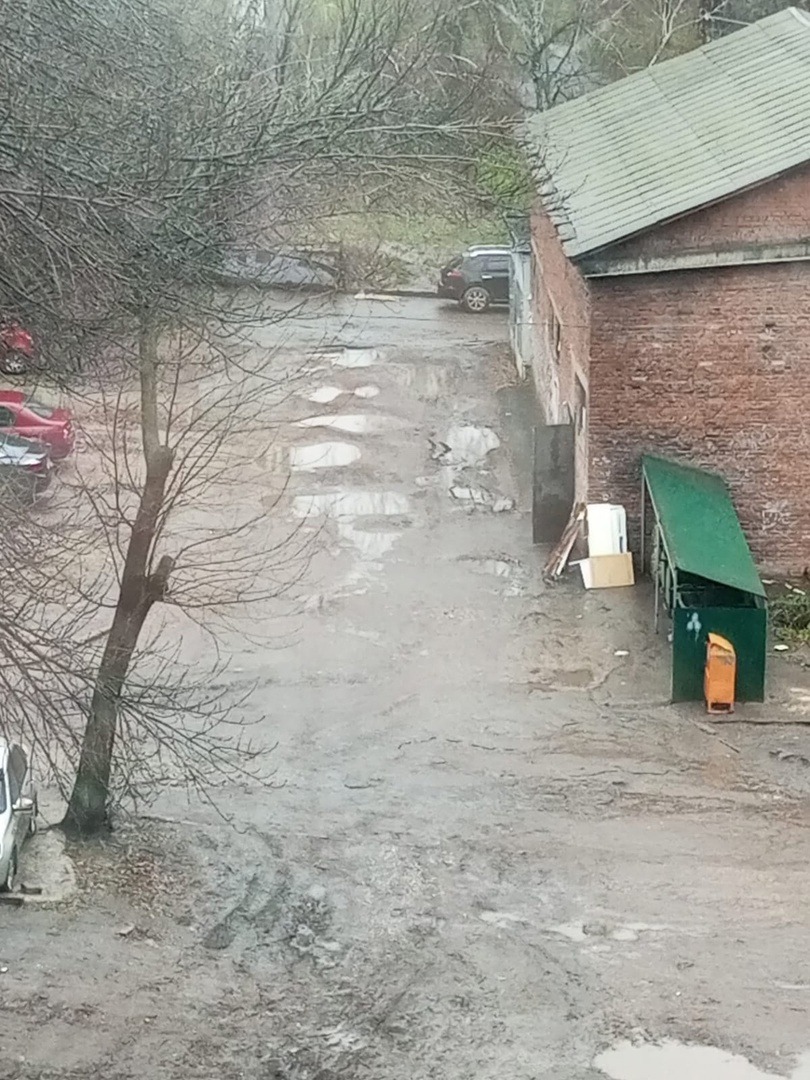 предоставлено Дарьей Сальниковой.