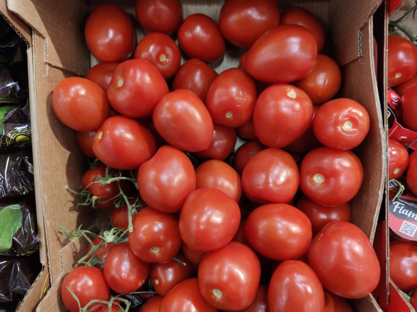 Дарьи Святохиной. «Общественная электронная газета».