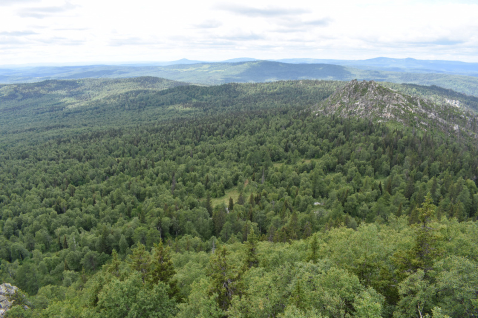 Фото автора.