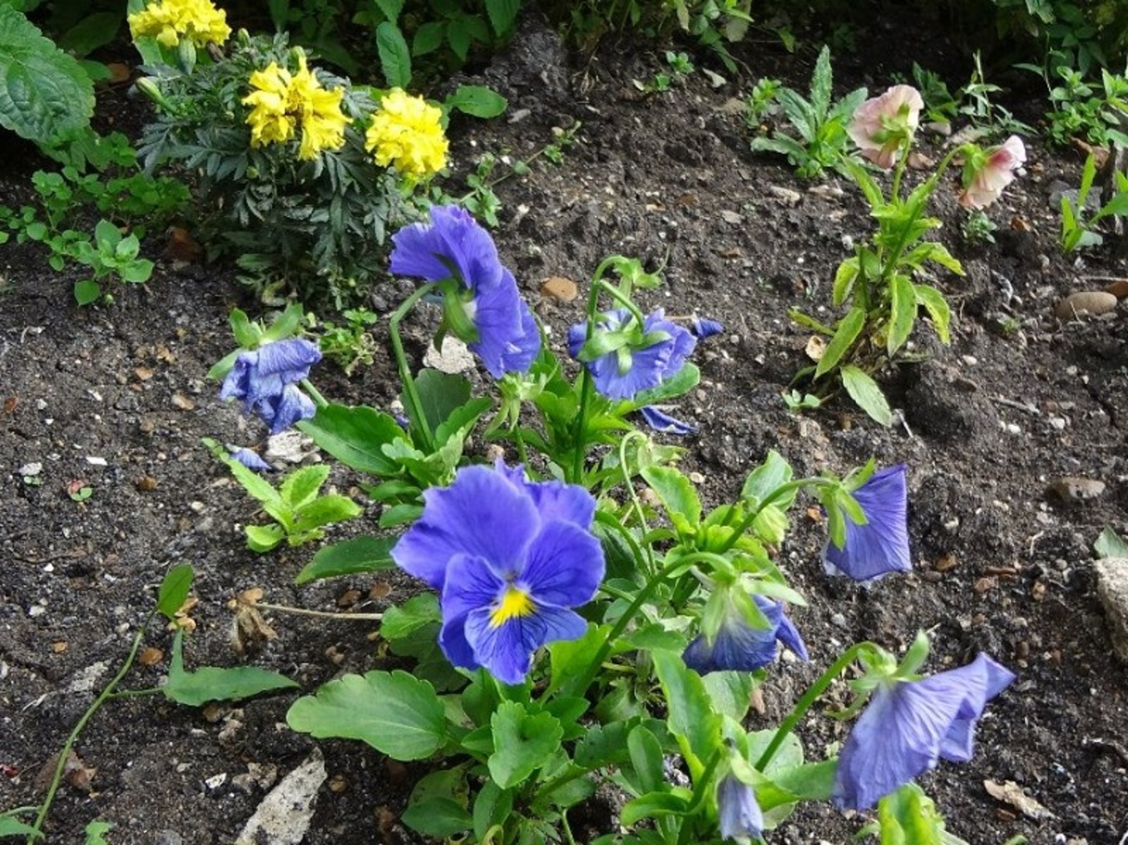 Фото Васили Саитовой.