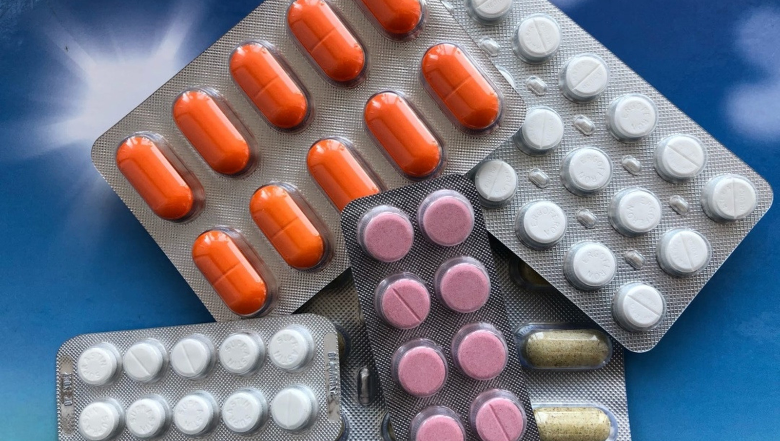 Елены Колоколовой.