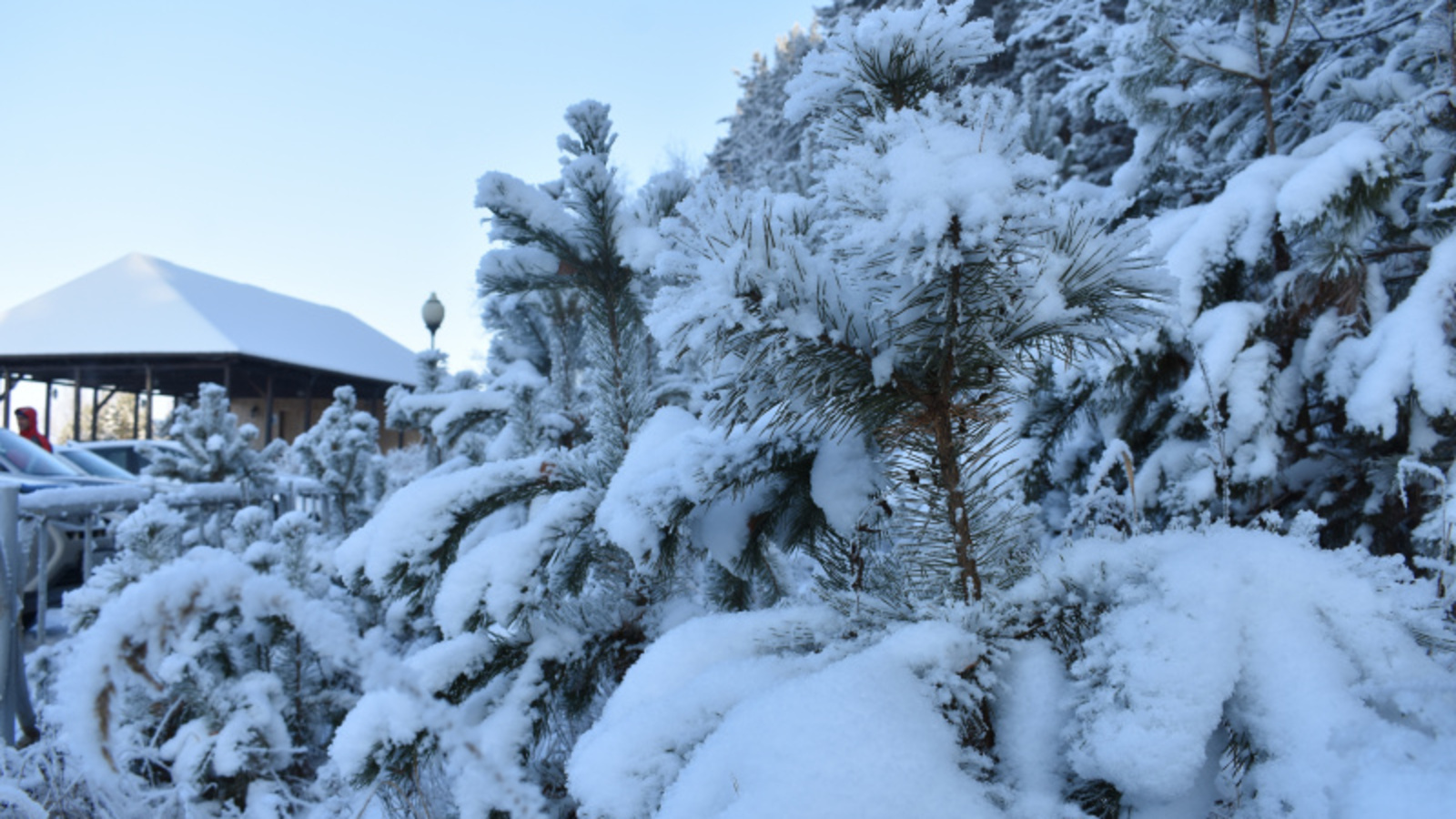 Фото автора.
