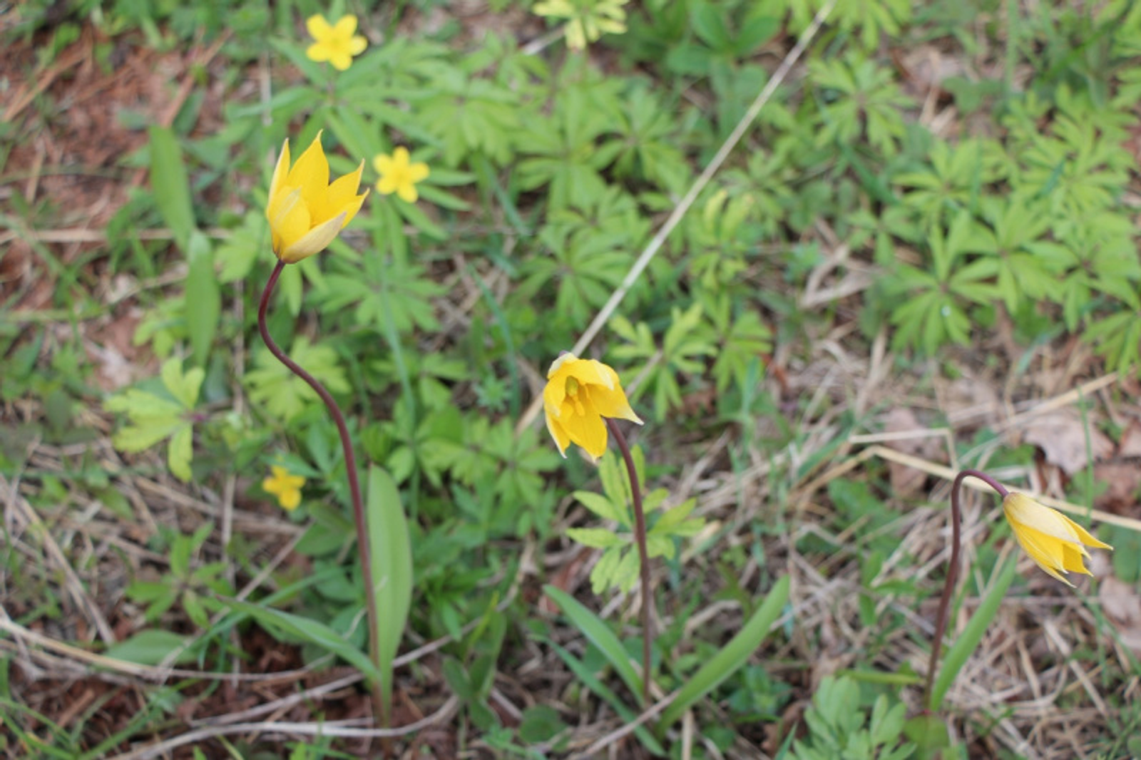 Фото Евгении Сюткиной.