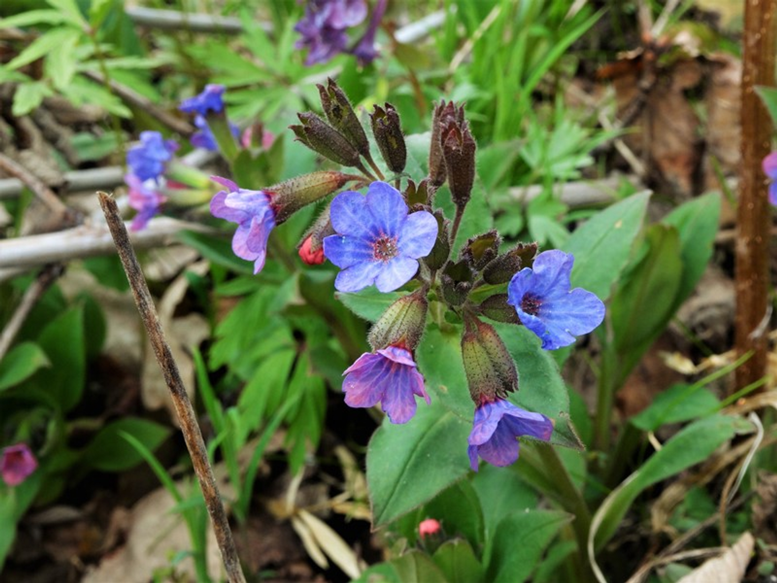 Фото Елены Колоколовой.