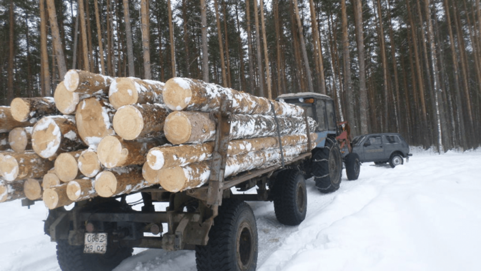 Фото предоставлено Минлесхозом РБ.
