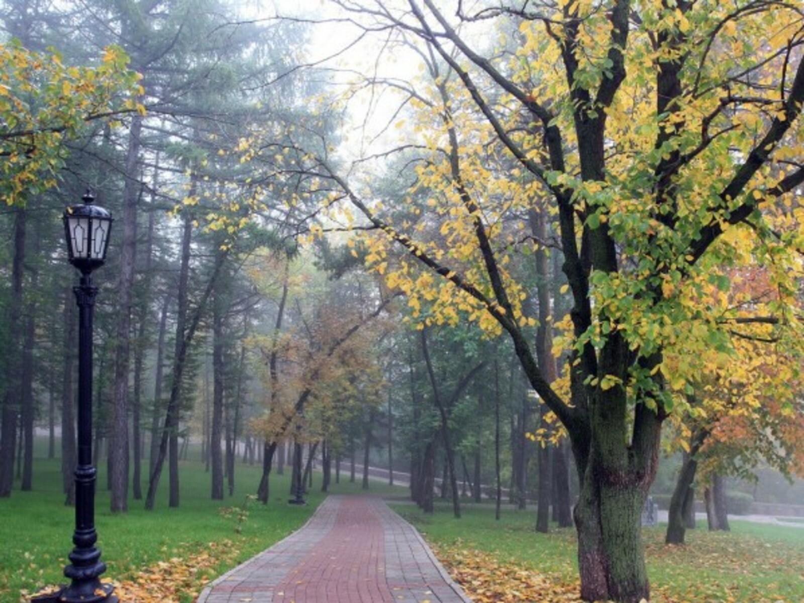 Фото Олега Яровикова.