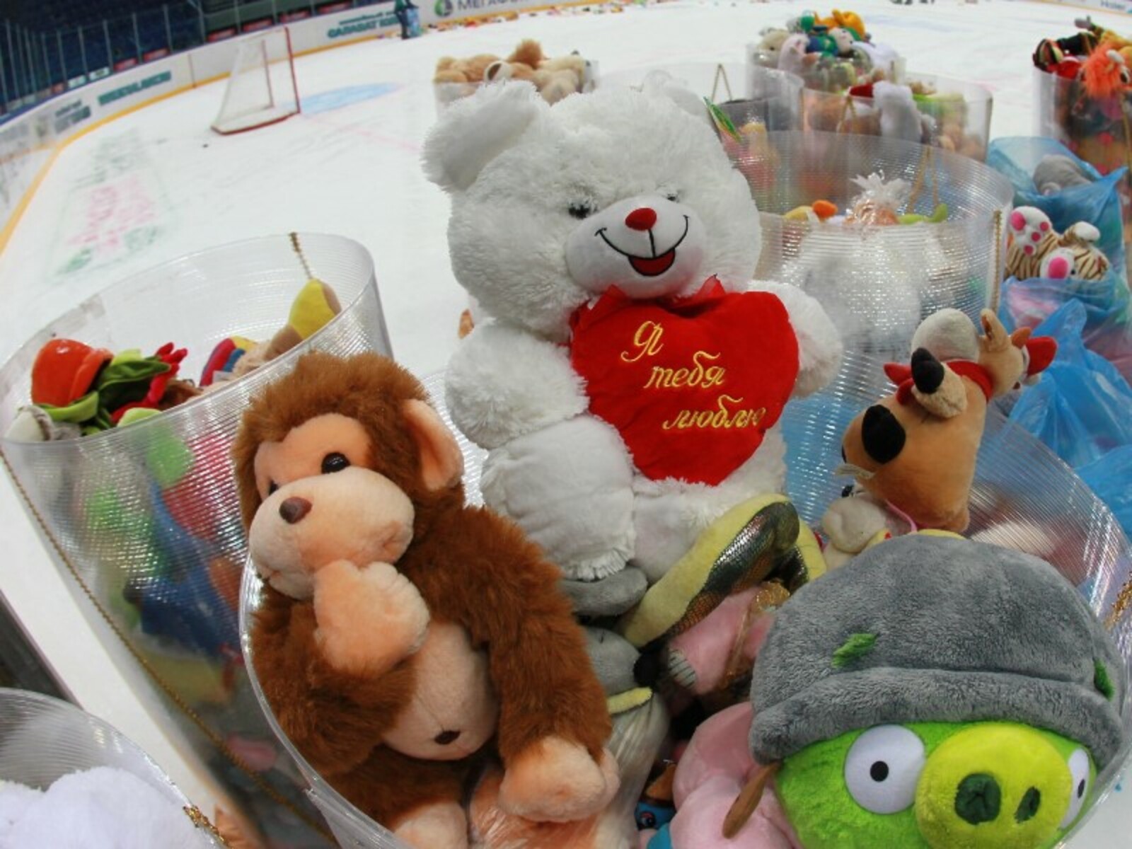 Фото Олега Яровикова.