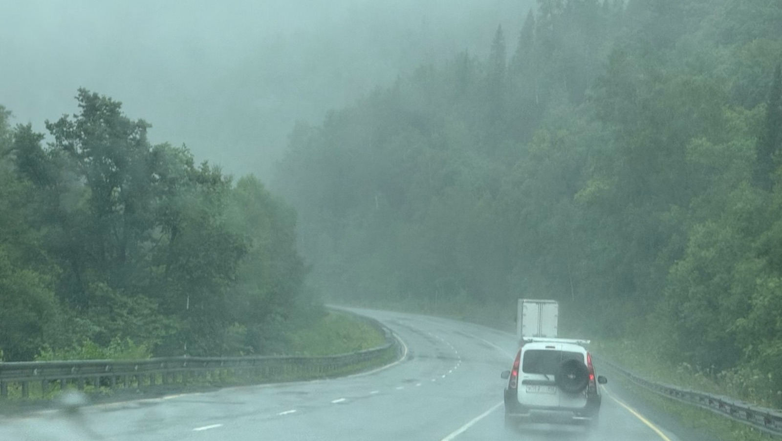 Елены Колоколовой.