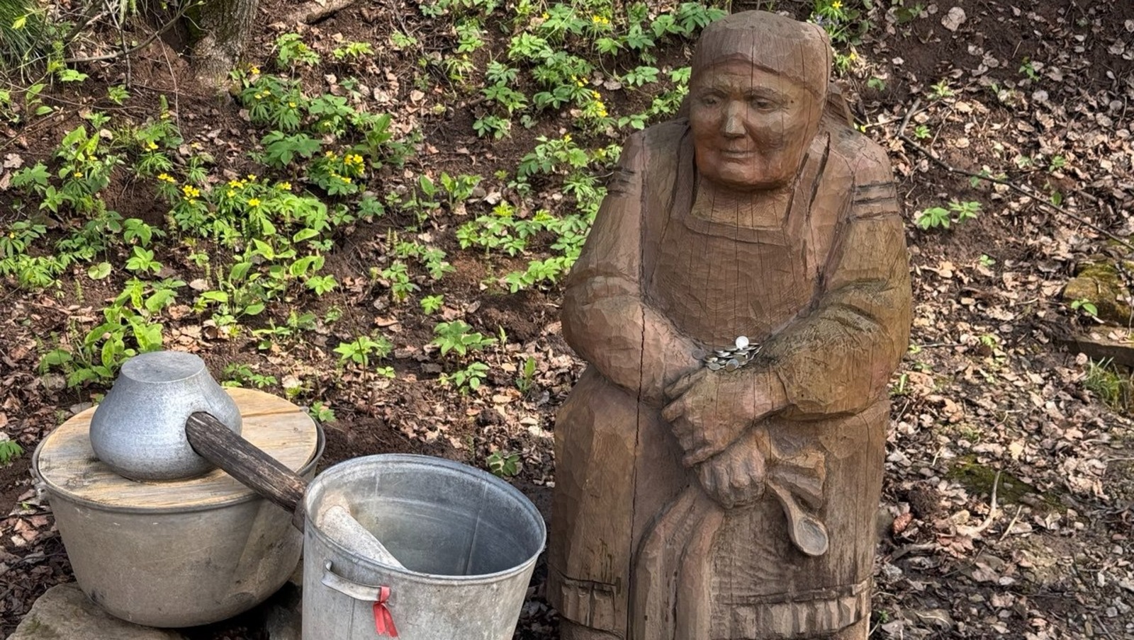 Елены Колоколовой.