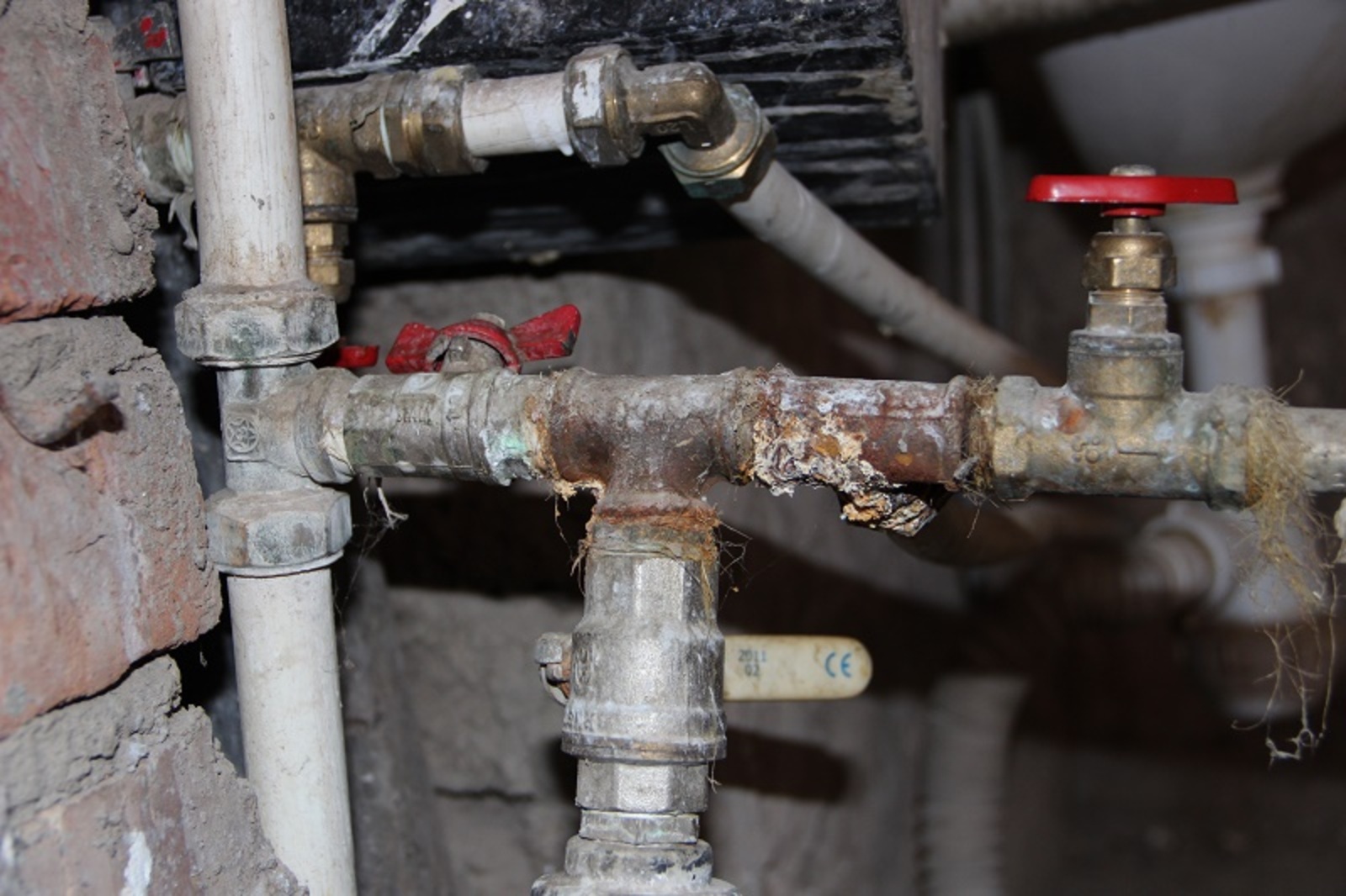 Фото автора.