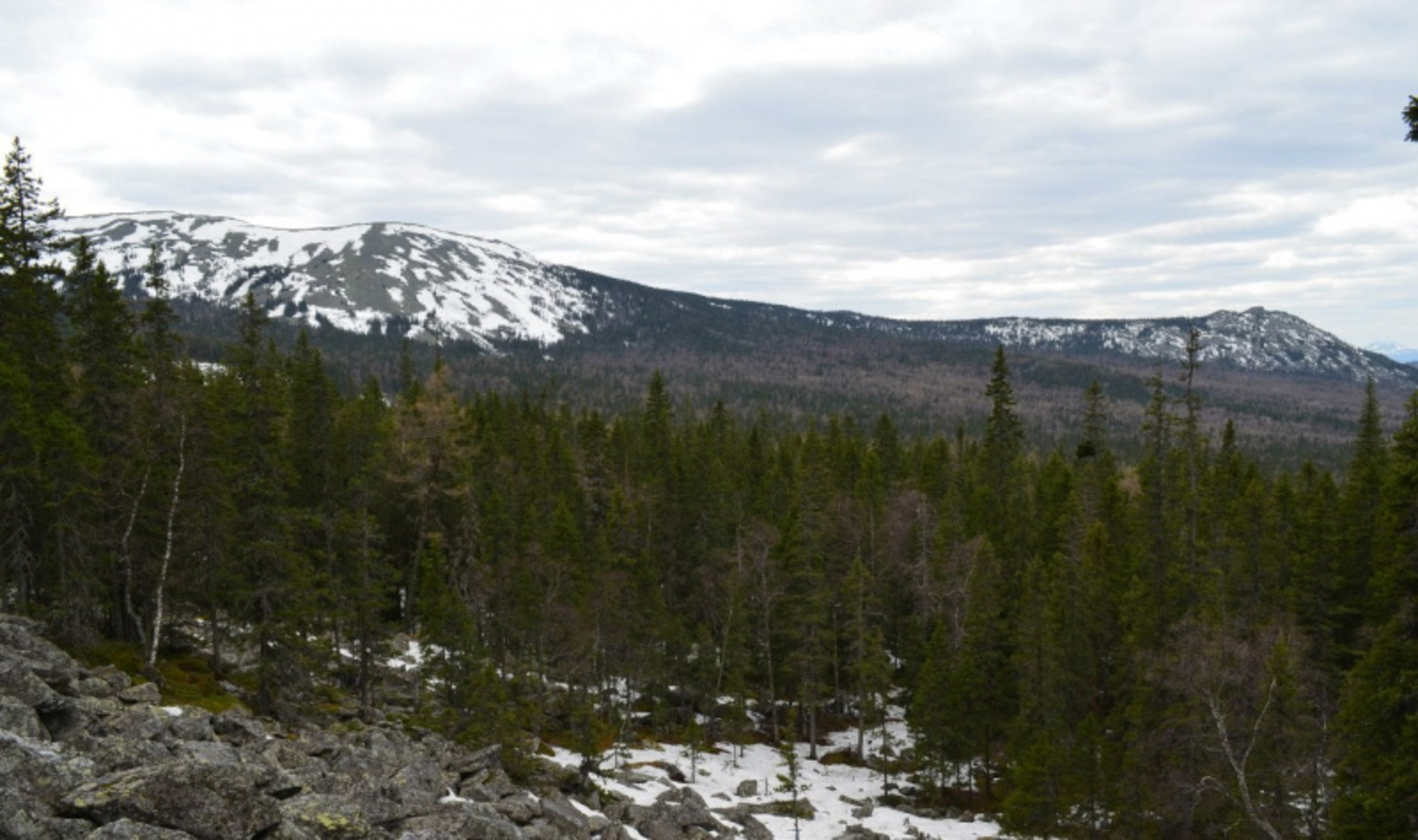 Фото автора.