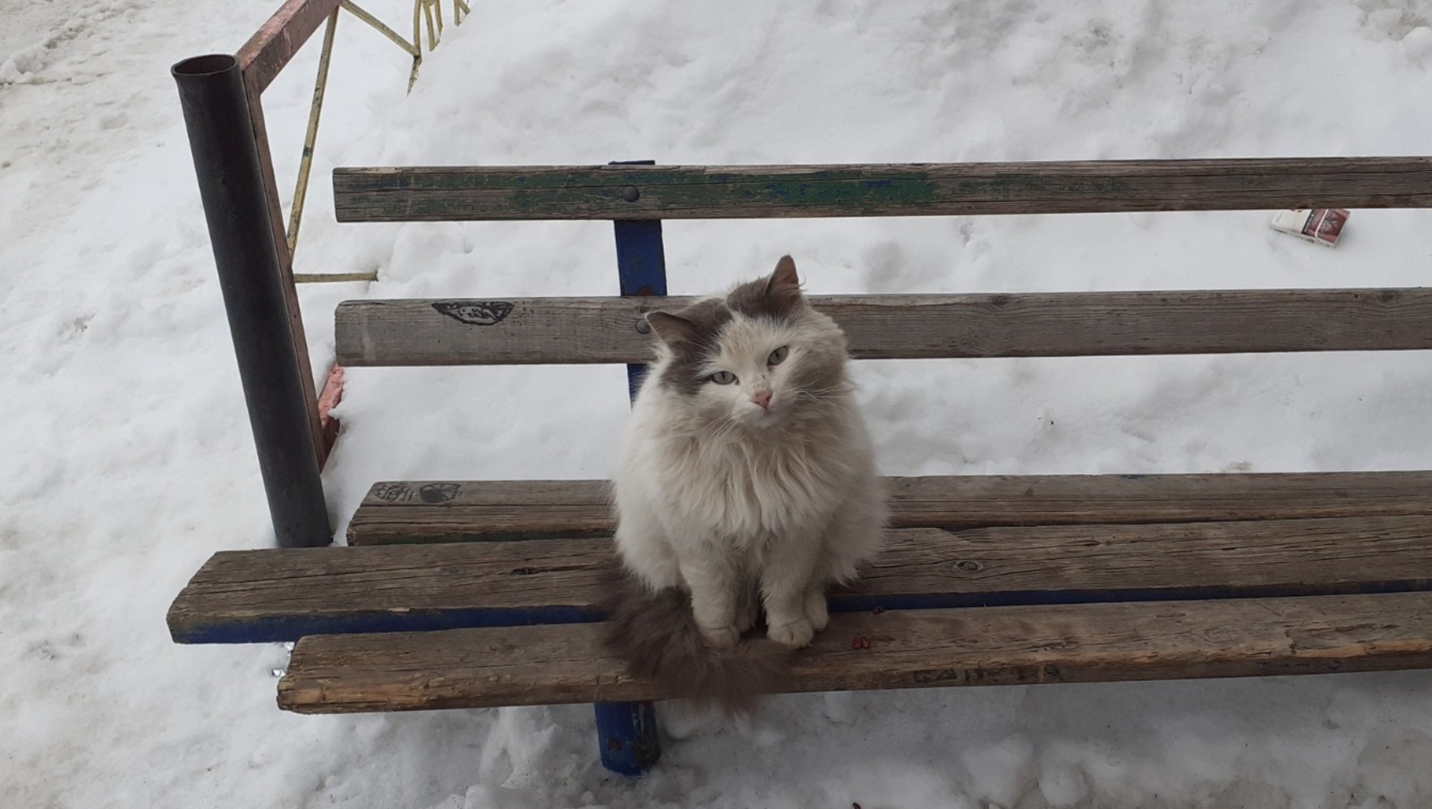 Владимира Шакиева. «Общественная электронная газета».