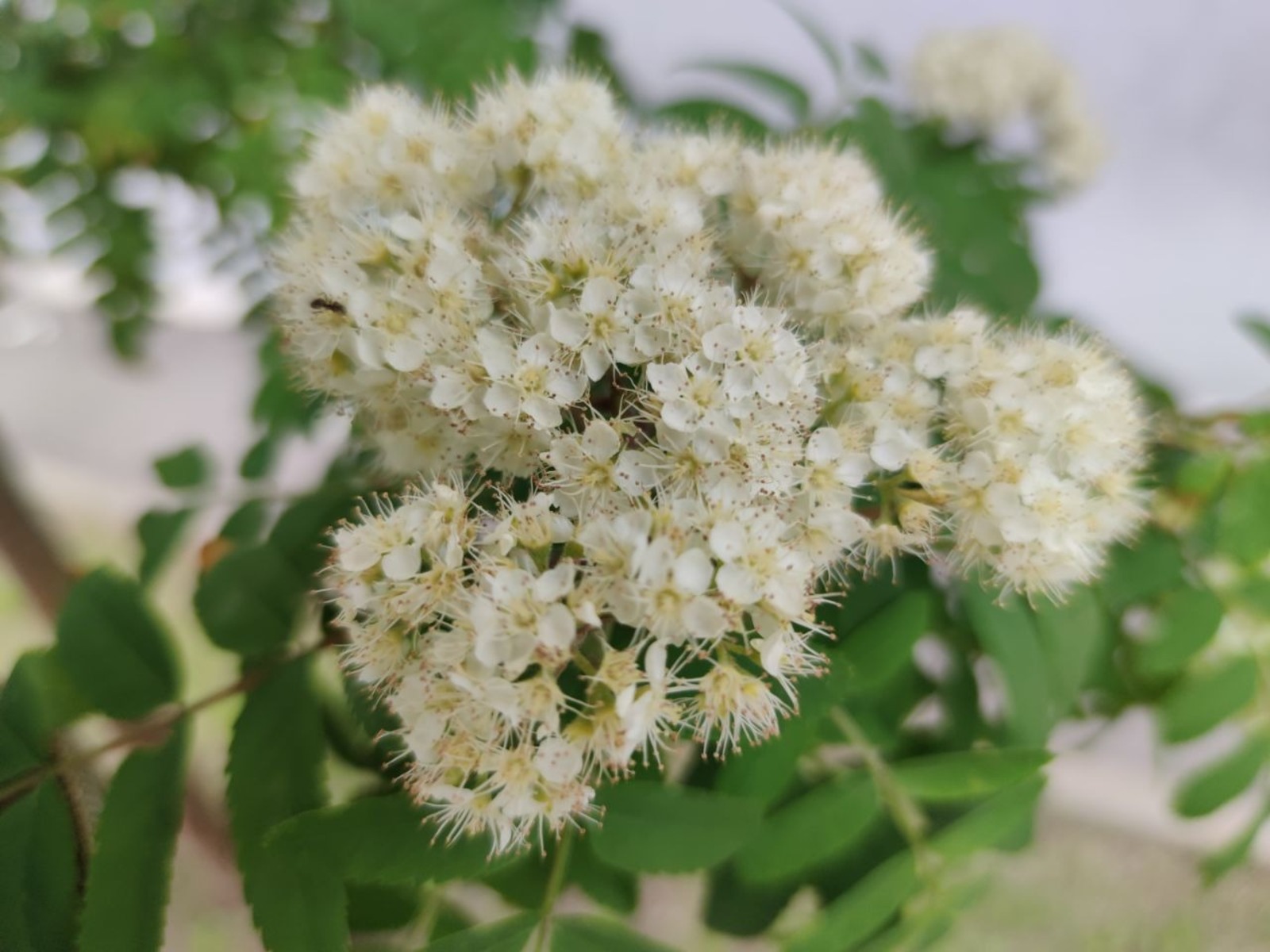 Дарьи Святохиной.