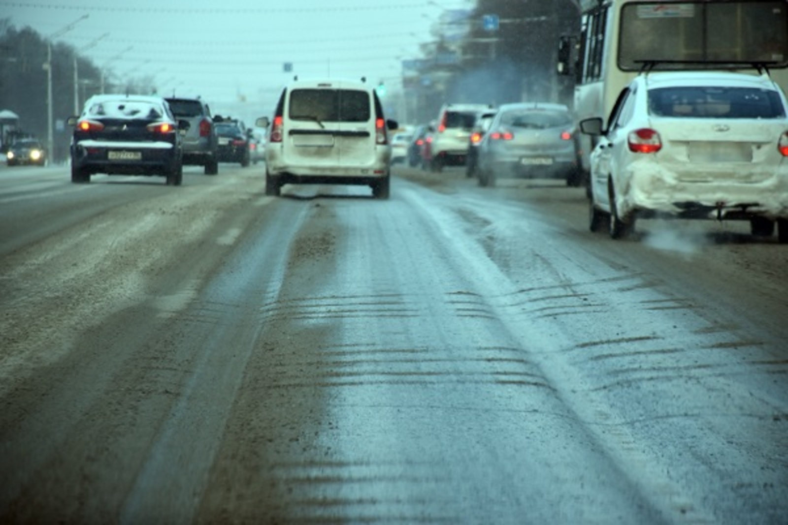 Фото Елены Колоколовой.