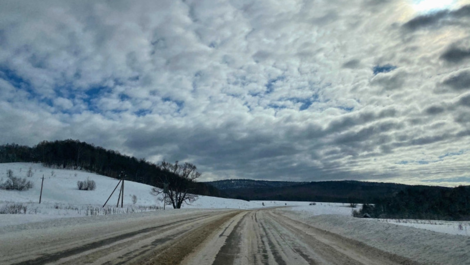 Елены Колоколовой.