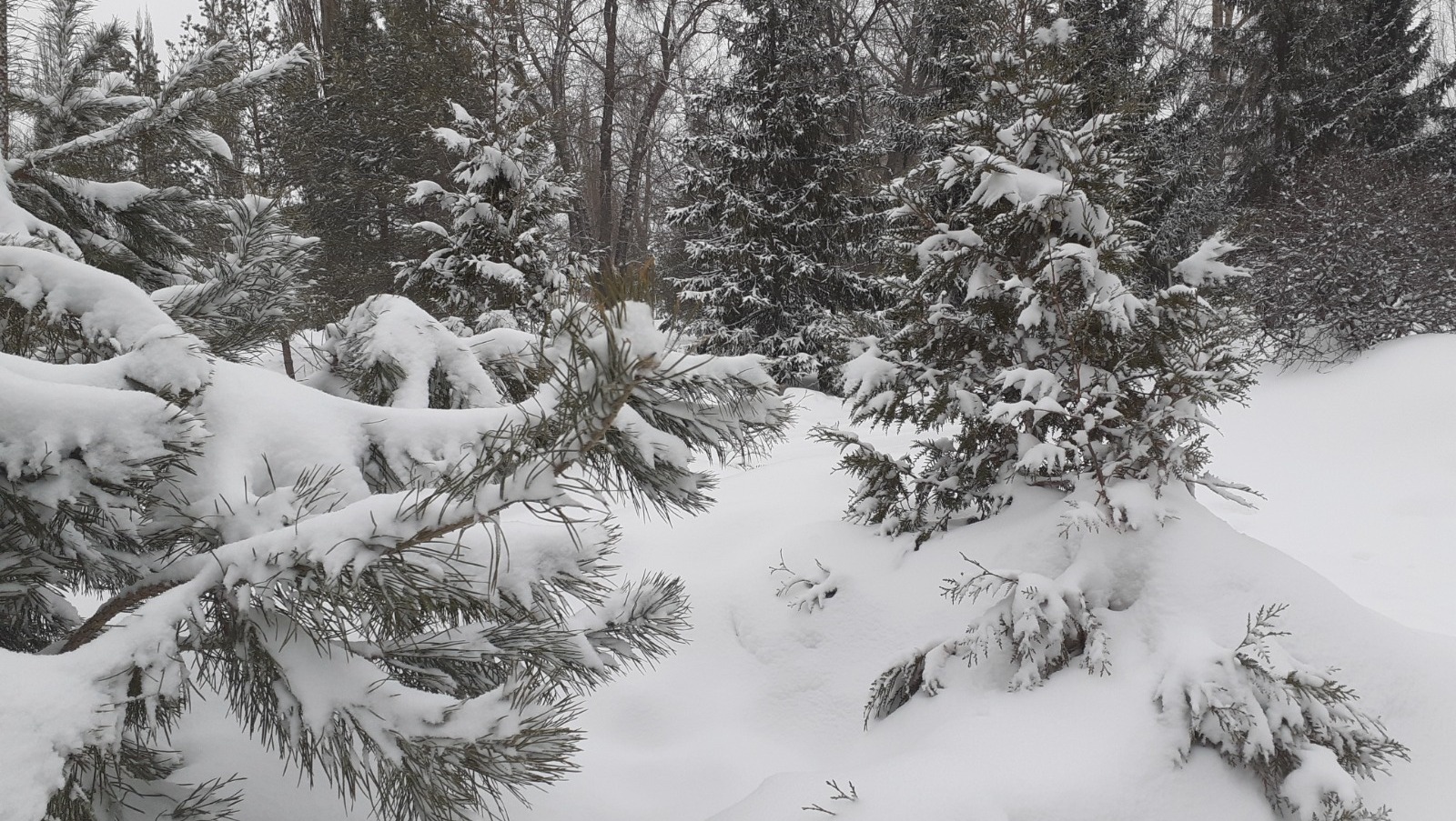 Владимира Шакиева. «Общественная электронная газета».