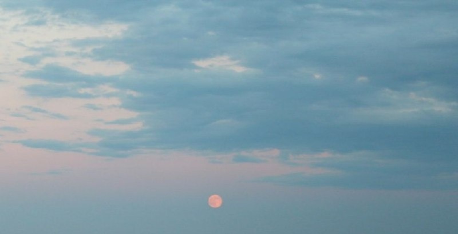 Дарьи Святохиной.