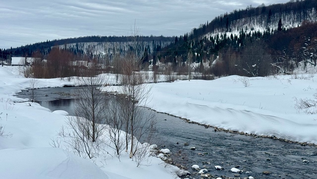 Елены Колоколовой. «Общественная электронная газета».