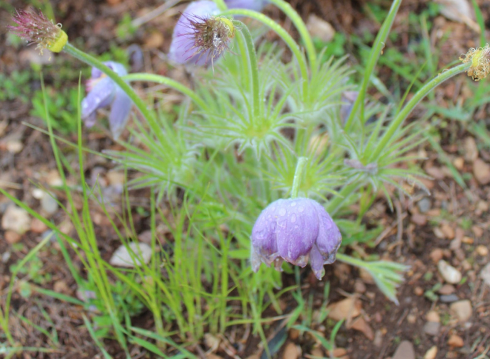 Фото автора.