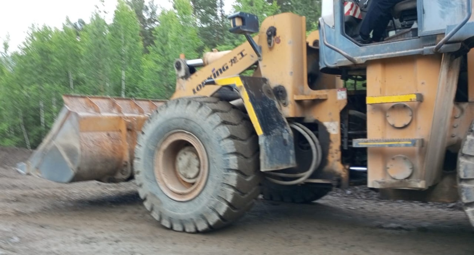 Евгении Сюткиной.