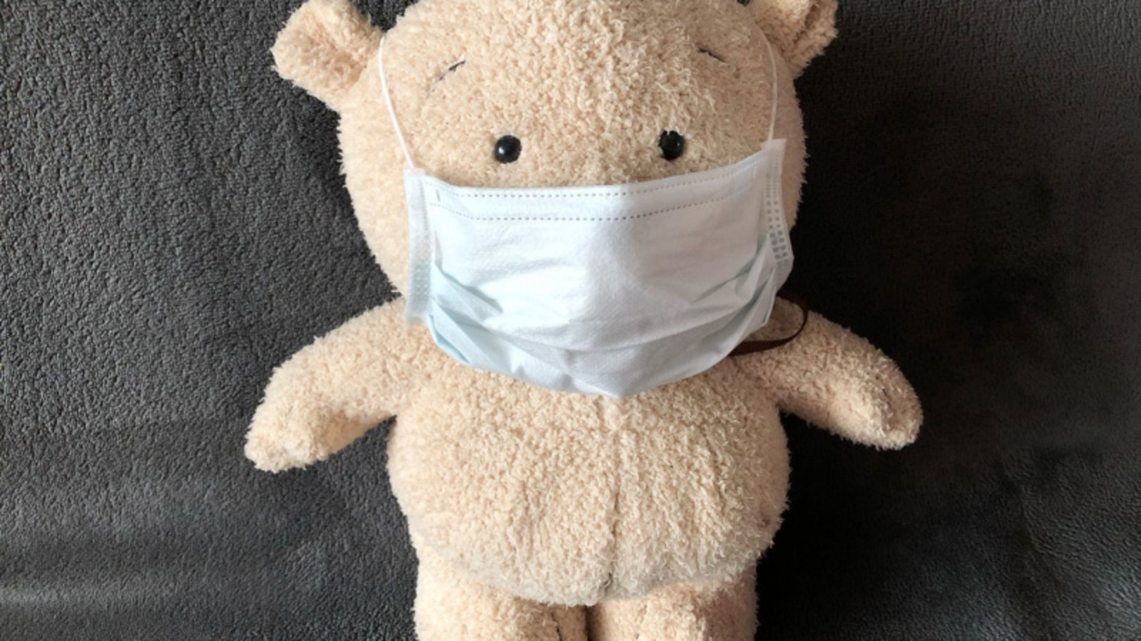 Фото Елены Колоколовой.