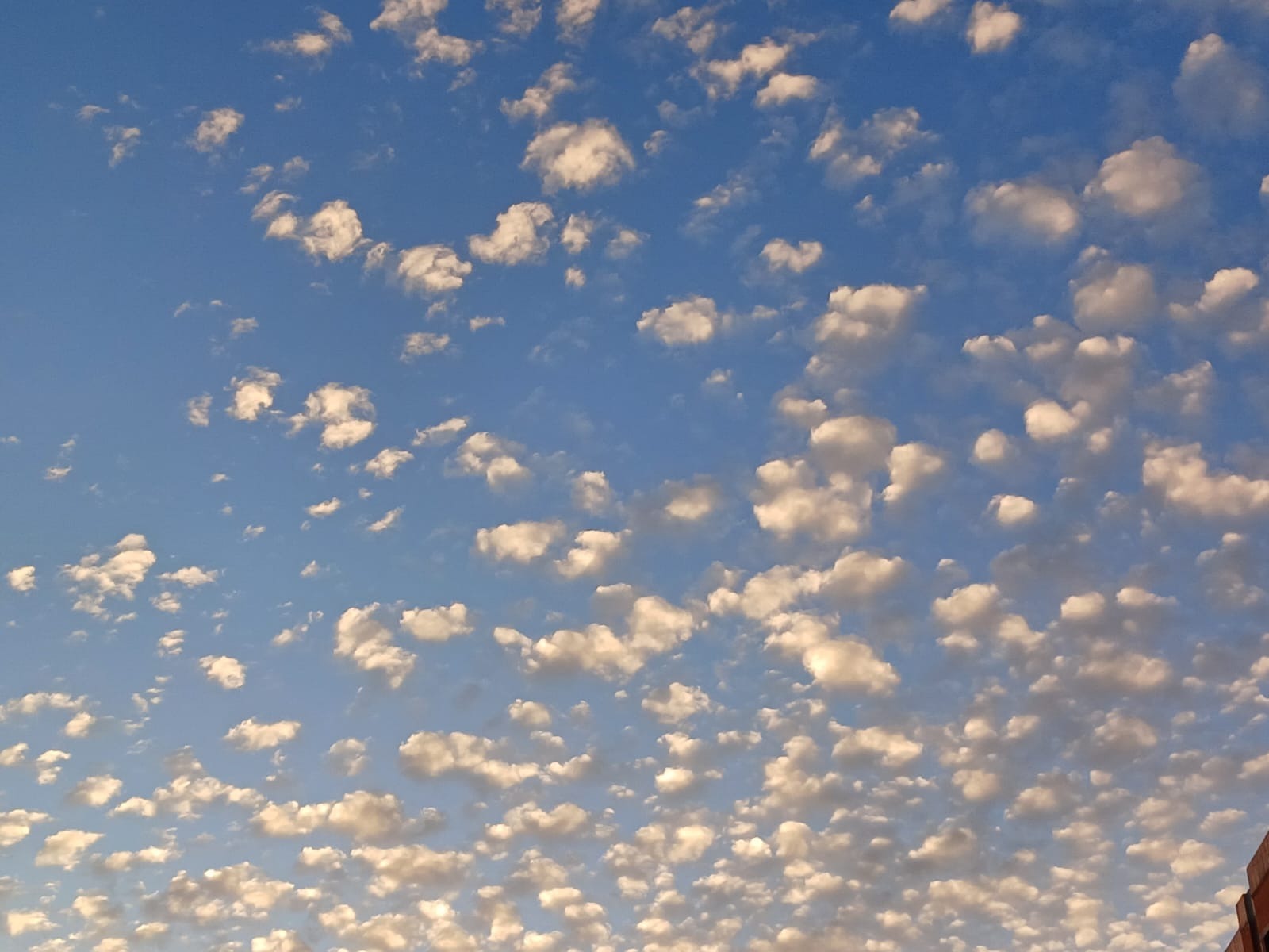 Васили Саитовой. «Общественная электронная газета».