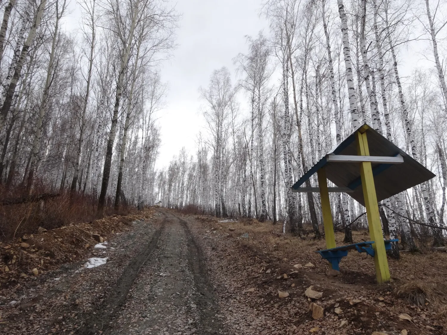 Елены Колоколовой.  «Общественная электронная газета».